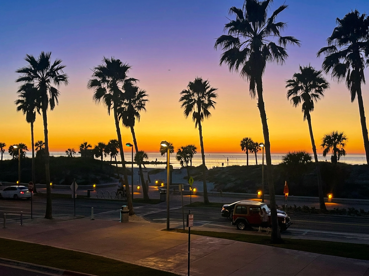 Sunset beach view near Clearwater Beach with palm silhouettes